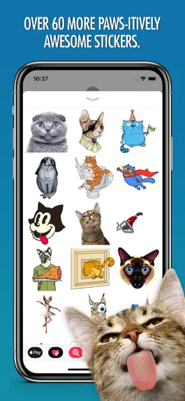 Game screenshot Cats Animated Text Stickers 3 apk