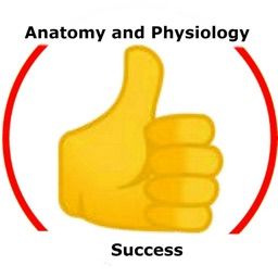 Anatomy and Physiology Success