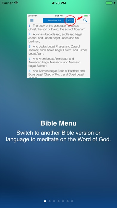 free bible program for the mac with strongs
