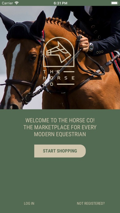 The Horse Co screenshot 2