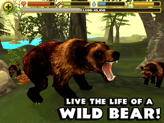 Wildlife Simulator: Bear на iPad