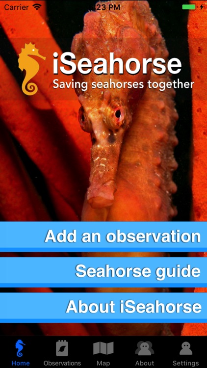 iSeahorse Explore