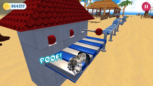 Cat and Dog Show - Sim 2019(圖3)-速報App