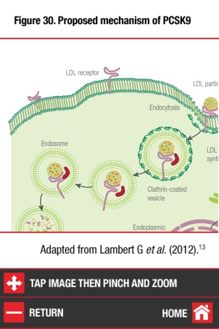 Triglyceride-rich lipoproteins screenshot 3