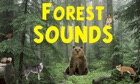 Top 20 Games Apps Like Forest Sounds - Best Alternatives