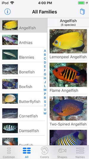 Tetiaroa Fish Guide(圖1)-速報App