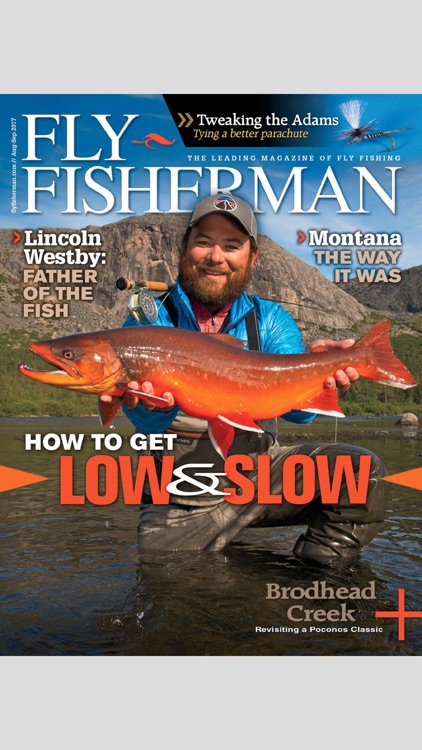 Fly Fisherman