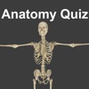 Anatomy Quizzes
