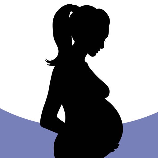 Pregnancy Pelvic Floor Plan