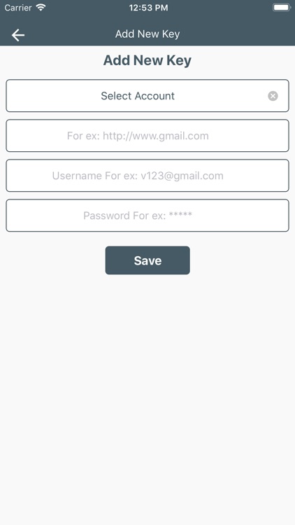 Password Storage Manager screenshot-3