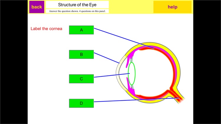 Wjec a level biology questions by topic image