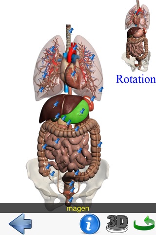 Visual Anatomy Lite screenshot 3