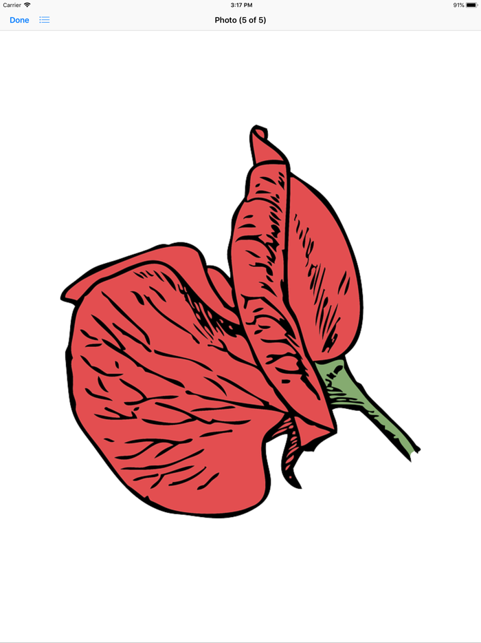 Red Poppy Stickers