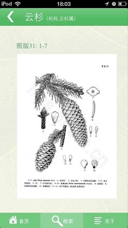 中国植物志专业版