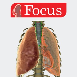 LUNGS - Digital Anatomy