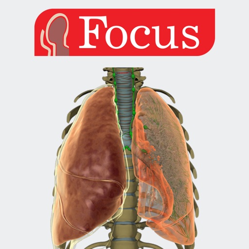 LUNGS - Digital Anatomy