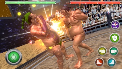 Real Sumo Fighting 2017 screenshot 4