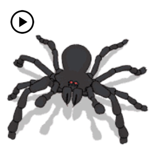 Animated Black Spider Sticker icon