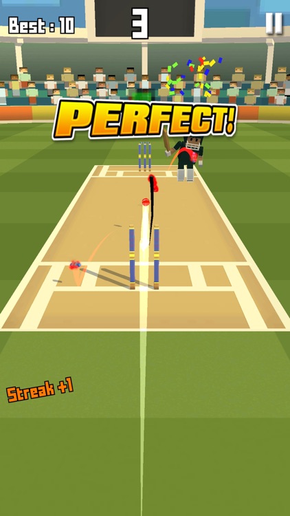 Runout Master - 3D Cricket screenshot-3