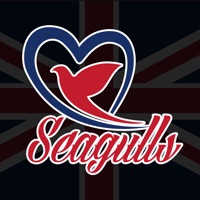 seagulls taxi driver pour PC