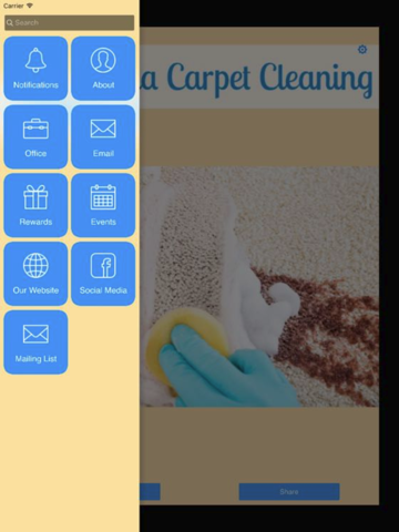 California Carpet Cleaning screenshot 2