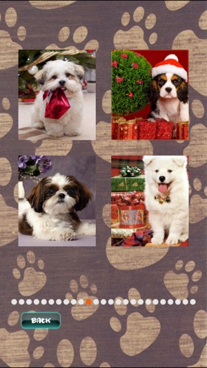 Cute Puppies Puzzle(圖5)-速報App