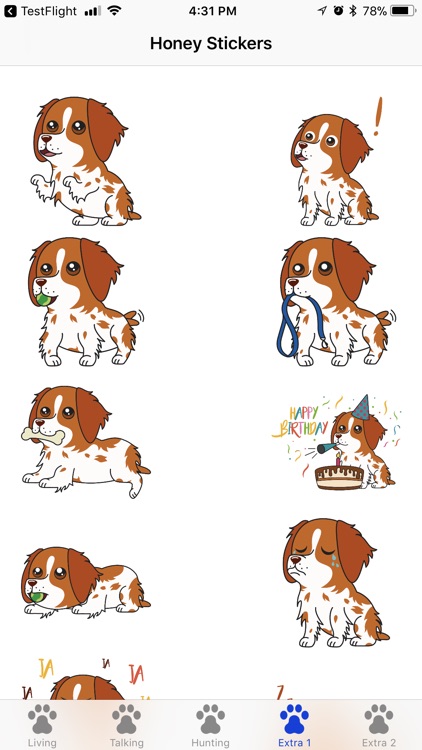 Honey the Brittany Spaniel