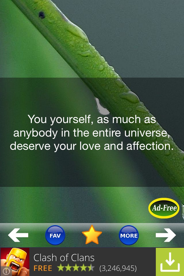 Buddha & Buddhism Quotes 500! screenshot 3