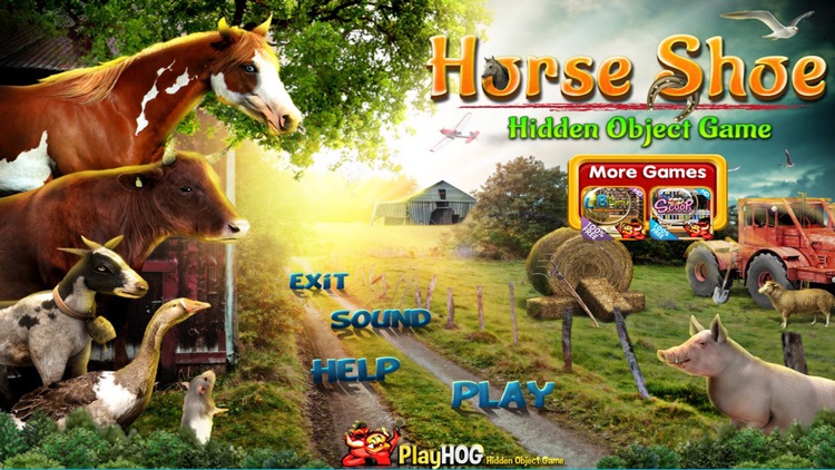 Horse Shoe Hidden Objects Game screenshot-3