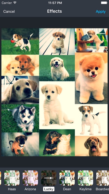 Photo Quilt Auto Collage Maker screenshot-3