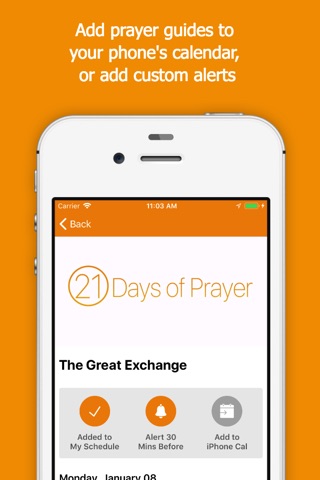 21 Days of Prayer Guide screenshot 4