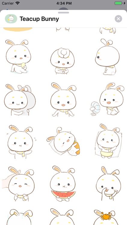 Teacup Bunny Animated Stickers