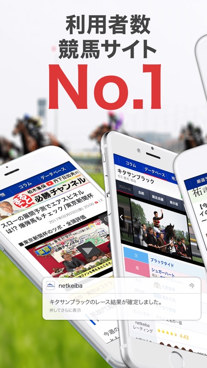 競馬情報 netkeiba
