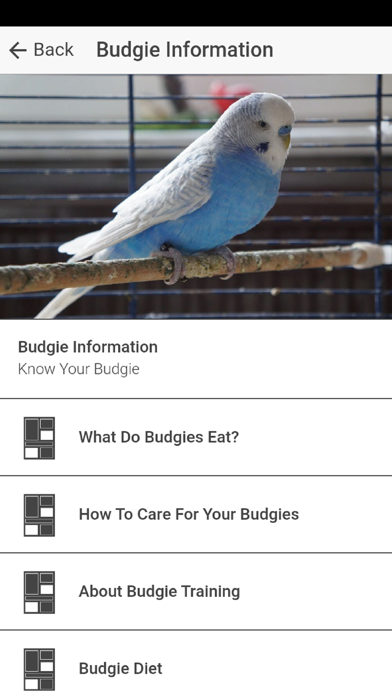 Pet Budgie Information & Care screenshot 2