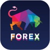 How to Trade Forex