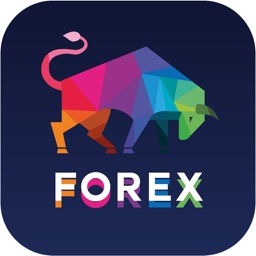 How to Trade Forex