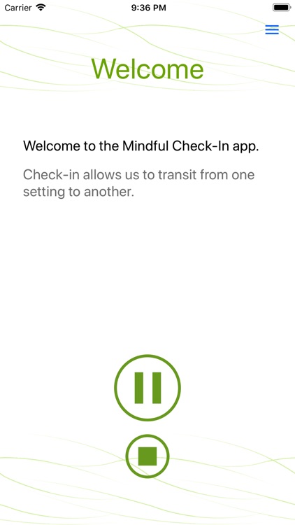 Mindful Check In