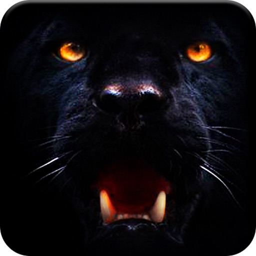 Black Panther Safari Hunting Icon