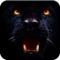 Black Panther Safari Hunting