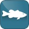 Make your own "Hot-spots" with FishIQ