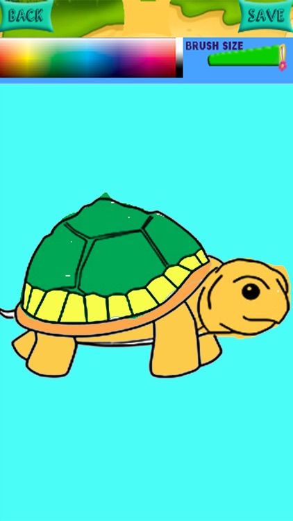 Turtle Coloring Book Games Education