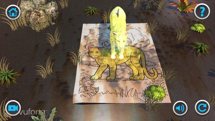 Animal Coloring Kingdom AR 2