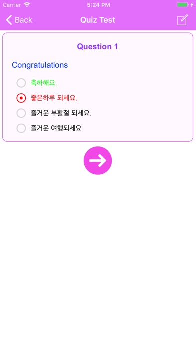 Learn Korean Phrases Annyeong screenshot 3