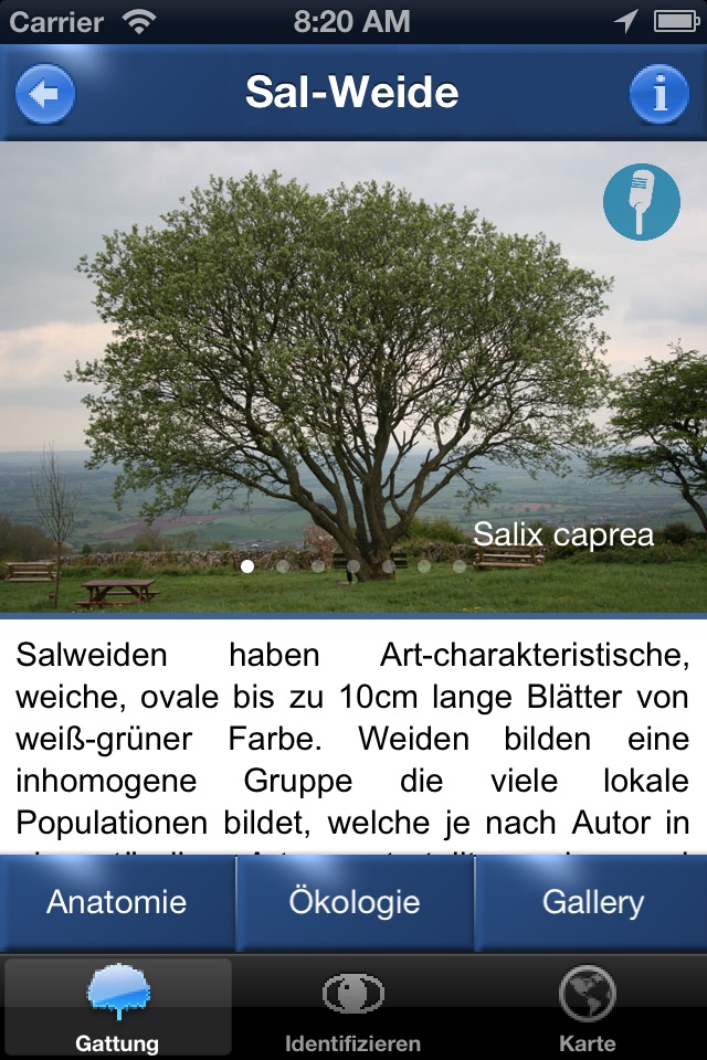 Baum Id Deutschland screenshot 4