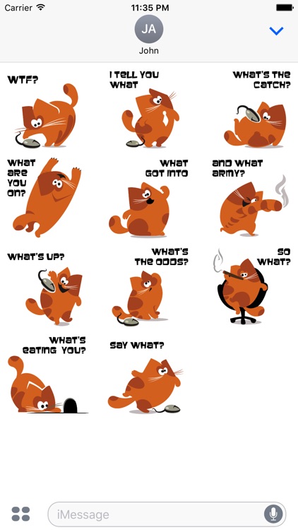 What the cat