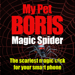 Magic Spider - My Pet Boris 