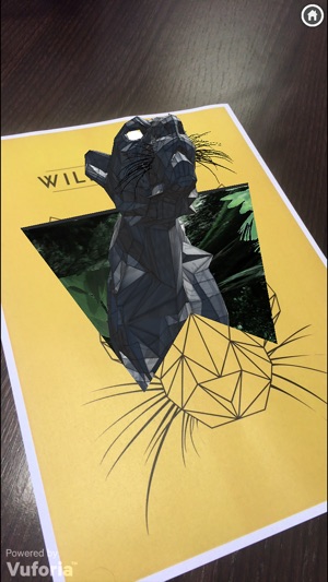 Wild Summer 2018(圖4)-速報App