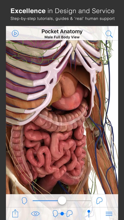 Pocket Anatomy. screenshot-4