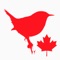 BIRD SCHOLAR Canada Edition provides a highly structured environment for learning the songs of 475 birds