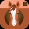 All Ears Pro makes it easier and faster to get horses attention during your photo sessions